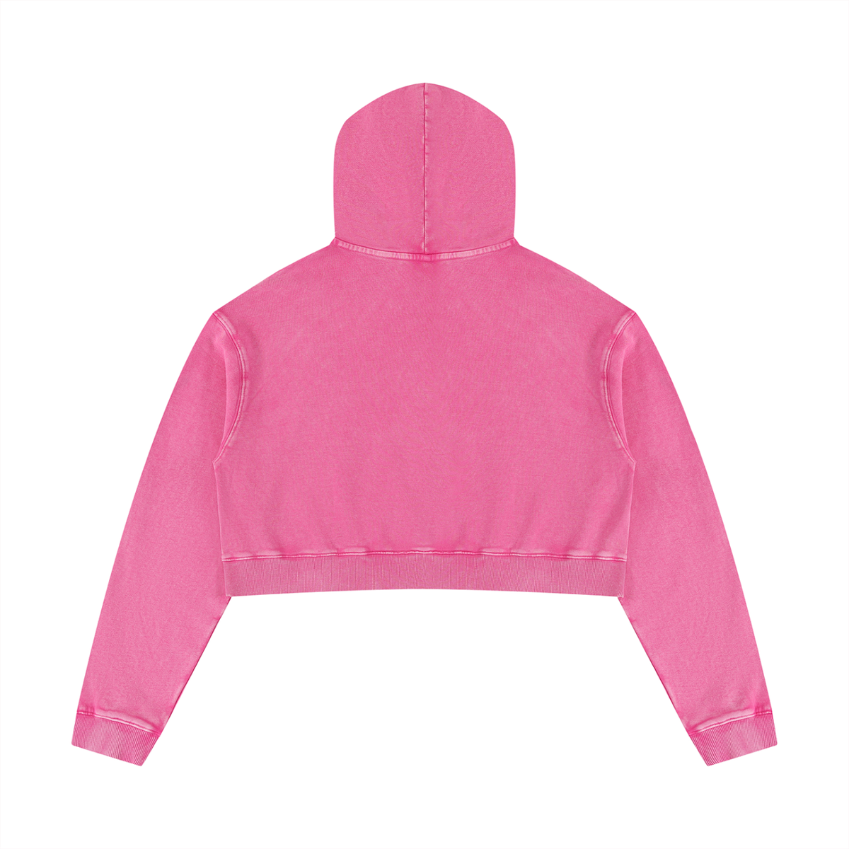 Women’s Mineral Washed REGENERATION Crop Hoodie